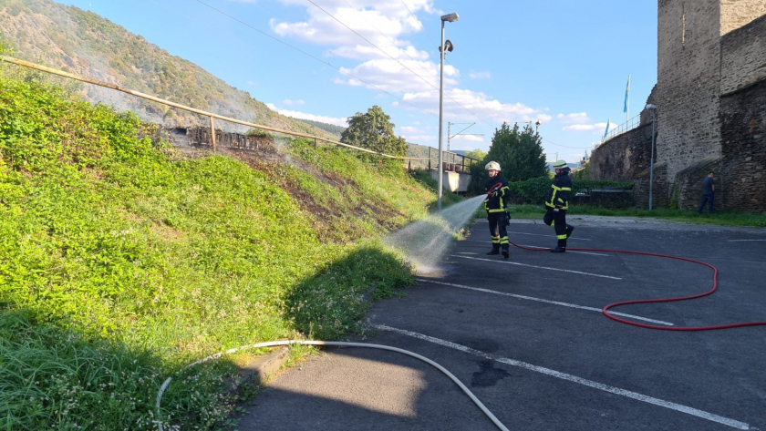 6a1596a2-f9c7-416d-bc5c-540c270b6b06