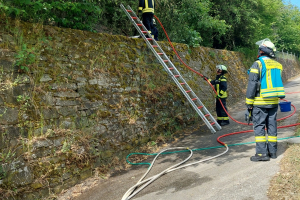 Flächenbrand 15.05.2022