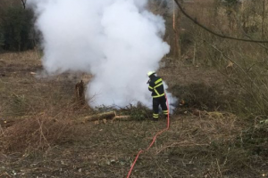 Flächenbrand 19.02.2018
