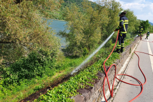 Flächenbrand 19.05.2020
