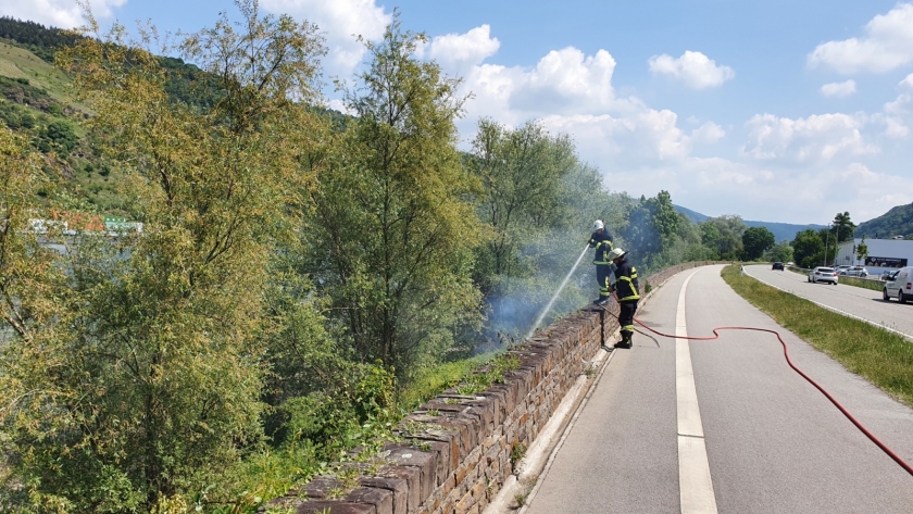 20200520_144401_resized