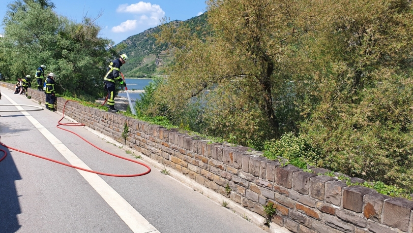 20200520_144409_resized