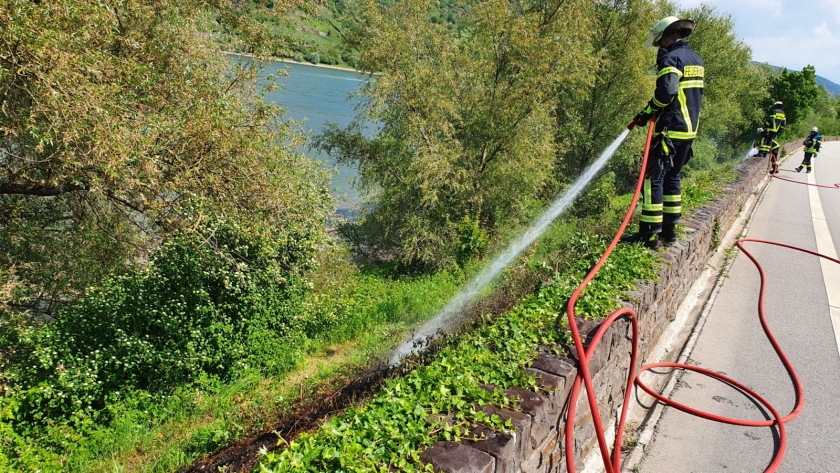 20200520_144535_resized