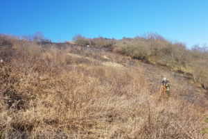 Flächenbrand 24.02.2018