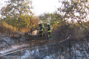 Flächenbrand 29.09.2016
