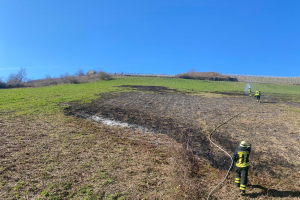 Flächenbrand 30.03.2021