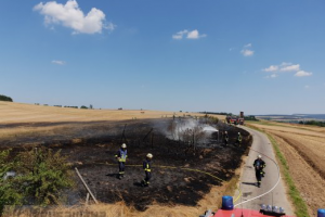 Flächenbrand 30.06.2018