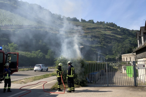 Heckenbrand 02.06.2020