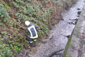 Kleintierrettung 31.12.2015