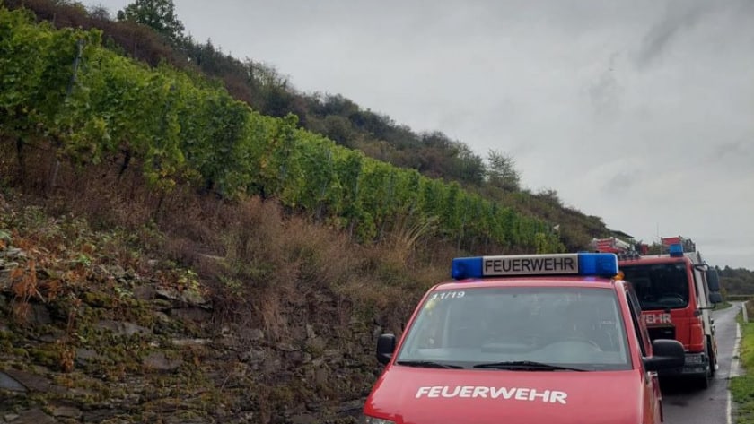 309699690_5754654951240963_5131163747131845322_n