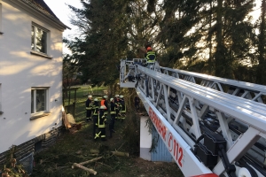 Sturmschaden I. 10.03.2019