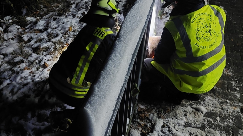 © Feuerwehr Oberwesel - Ch. Albrecht