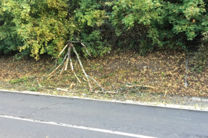 Umgestürzter Baum 18.08.2020