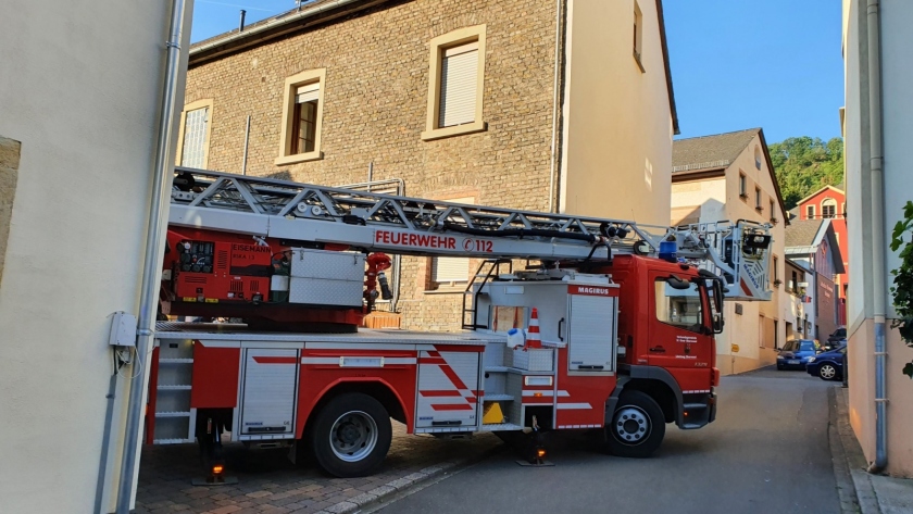 20200518_074600_resized