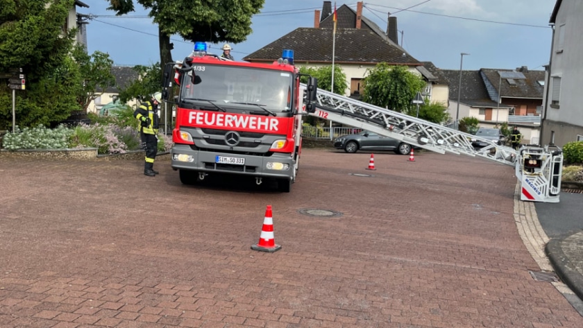 Niederburg_B-Ruedesheim_1