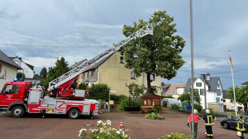 Niederburg_B-Ruedesheim_2
