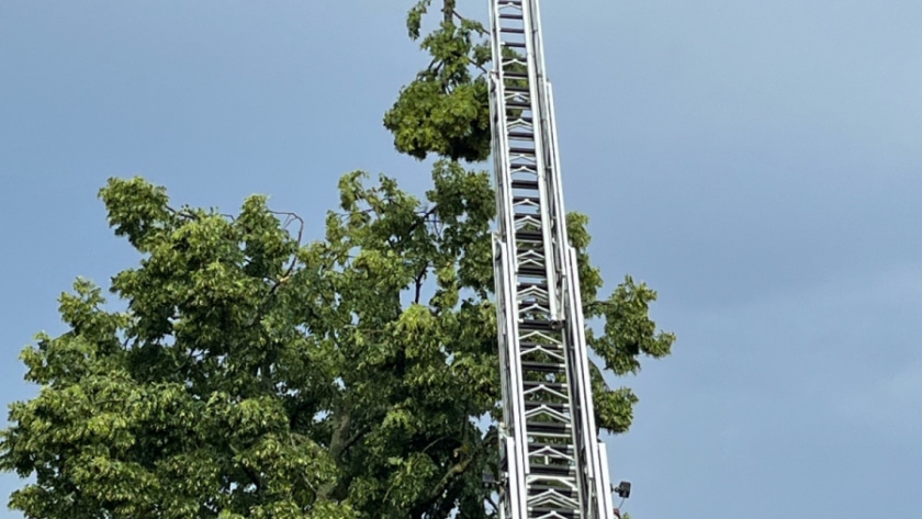 Niederburg_B-Ruedesheim_4