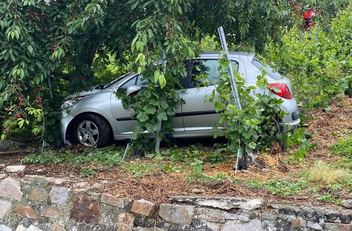 208432752_4352141814825624_4317820074751276786_n